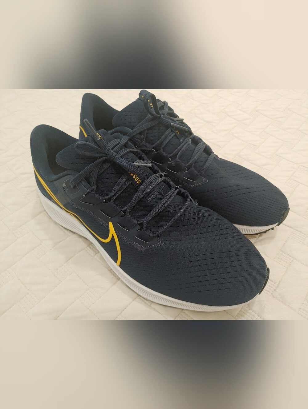 Nike Pegasus 38 Men's Size 12 Excellent Condition